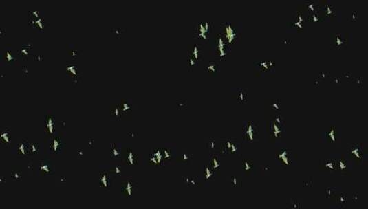 一群彩色大雁飞过屏幕带通道高清在线视频素材下载