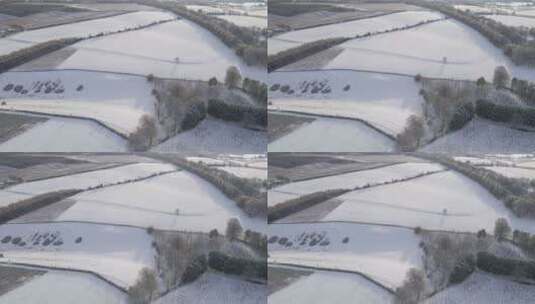 白雪覆盖的田野高清在线视频素材下载