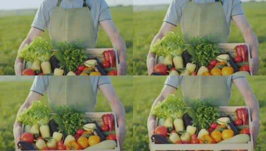 农民双手抱着一个盛满新鲜蔬菜的木箱高清在线视频素材下载