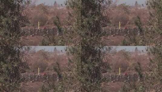 拍摄对面山坡上的十字架坟墓高清在线视频素材下载