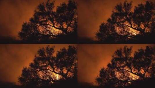 山区的一场灌木丛大火失控高清在线视频素材下载