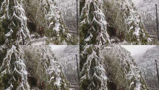 湘南郴州仰天湖高山4K雪景6高清在线视频素材下载