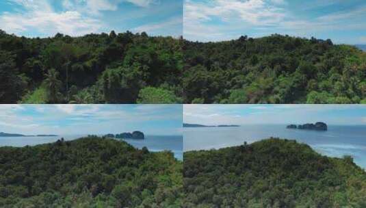 泰国旅游视频泰国普吉岛pp岛上森林植被高清在线视频素材下载