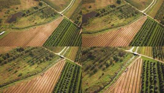 空中农业田间抛丸拖拉机穿越夏季玉米地健康食品生产理念高清在线视频素材下载