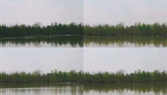 湖边天空树林倒影高清在线视频素材下载