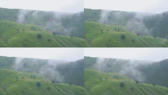 森林云海山峰云雾缭绕雨后树林山林山脉风景高清在线视频素材下载