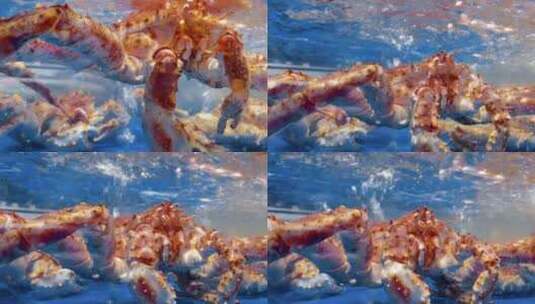 超市海鲜区帝王蟹2高清在线视频素材下载