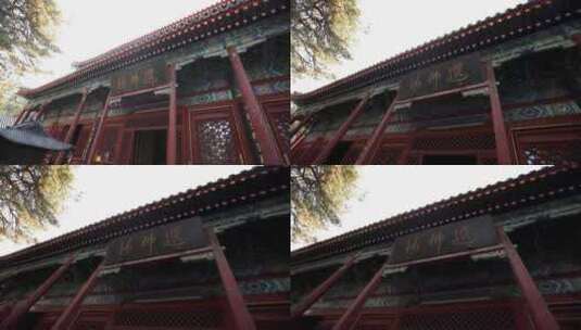 北京戒台寺寺庙建筑视频素材高清在线视频素材下载