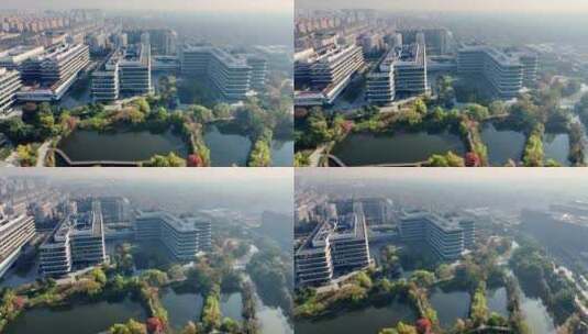 中国杭州阿里巴巴园区秋日美景高清在线视频素材下载