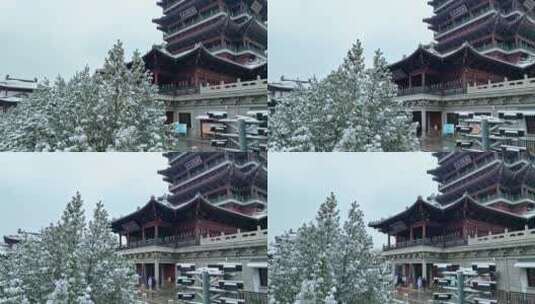 济南大明湖公园雪景航拍       荐高清在线视频素材下载