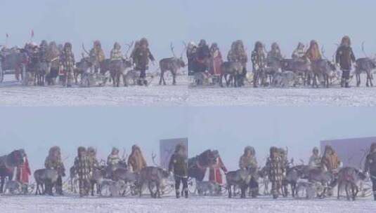 第二十届冰雪那达慕开幕式上驯鹿迁徙表演高清在线视频素材下载