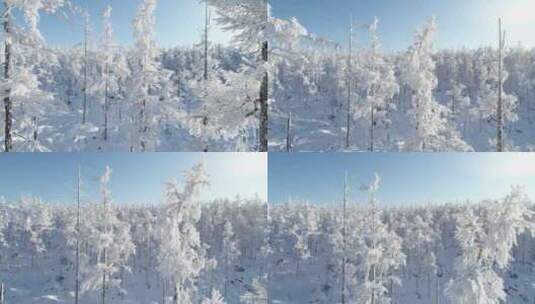 航拍内蒙古大兴安岭冰雪雾凇、雪凇高清在线视频素材下载