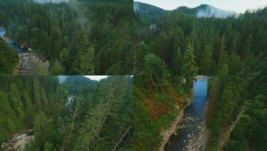 加拿大不列颠哥伦比亚省FPV无人机飞越山高清在线视频素材下载