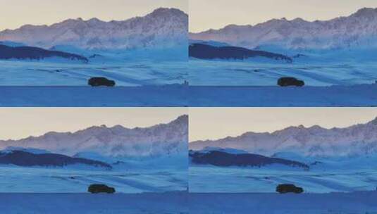 新疆博州赛里木湖冬季日落雪山航拍风景高清在线视频素材下载