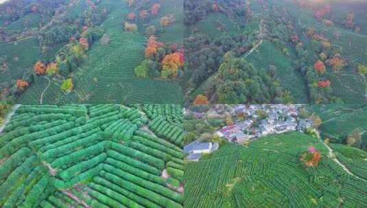 唯美杭州西湖龙井茶文化景区航拍茶园地茶叶高清在线视频素材下载