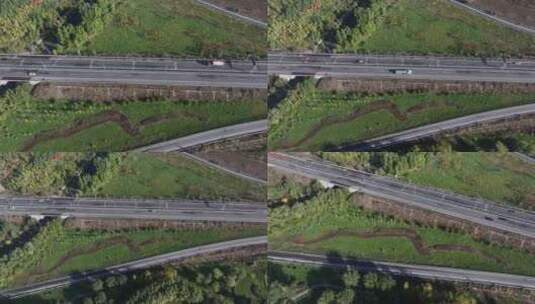高速公路 绿化带高清在线视频素材下载