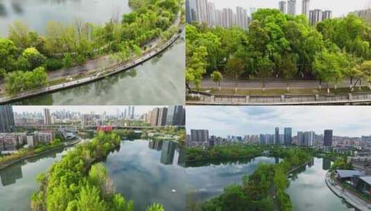 航拍成都春日东湖美丽风景公园宜居城市高清在线视频素材下载
