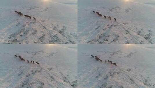 航拍银色雪原高清在线视频素材下载