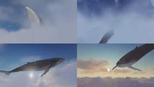 意境鲸鱼云层遨游高清在线视频素材下载