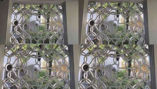 园林典雅窗景高清在线视频素材下载