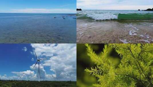 山间小溪水河流水阳光树林视频高清在线视频素材下载