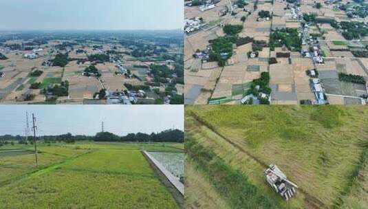 袁隆平杂交水稻科技馆水稻田航拍高清在线视频素材下载