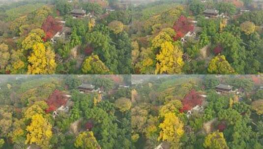 航拍秋季苏州虎丘山风景区高清在线视频素材下载