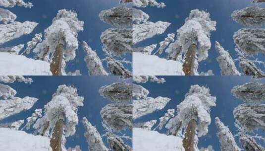 高清实拍瓦屋山冬天雪景雪山森林高清在线视频素材下载