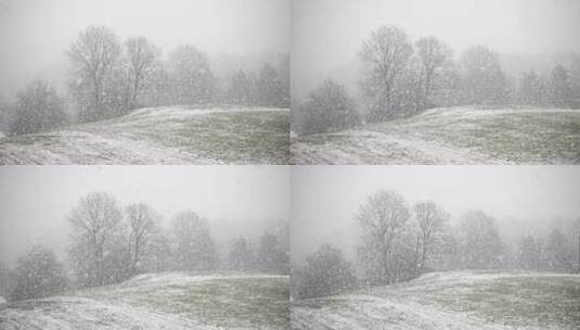 乡间田头大雪纷飞下雪雪景素材高清在线视频素材下载