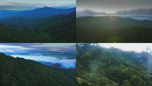 高空航拍森林山脉绿肺云雾缭绕的山林景观高清在线视频素材下载