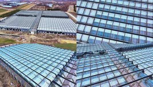 航拍大棚种植基地 农业高清在线视频素材下载