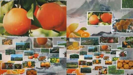 水墨多图汇聚农产品片头片尾高清AE视频素材下载