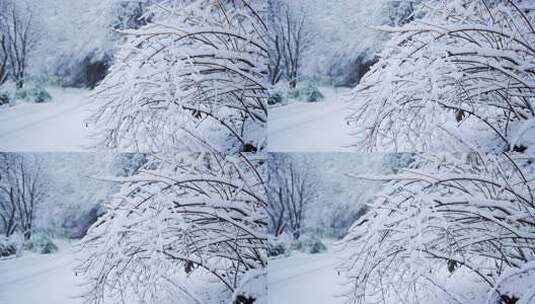 伏牛山冬季雪景雾凇高清在线视频素材下载