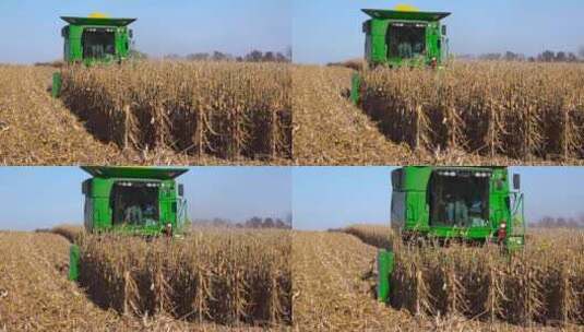 美国收割机在收玉米高清在线视频素材下载