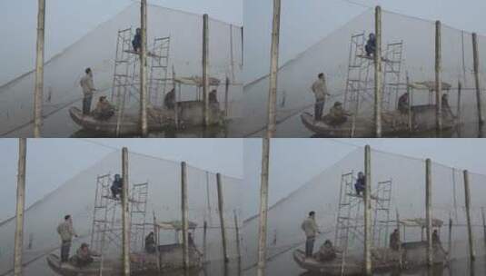 湖区渔民在围网拆除后捕鱼高清在线视频素材下载