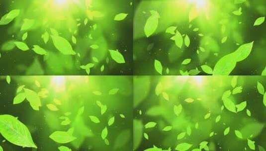 绿色茶叶飘落背景视频素材高清在线视频素材下载