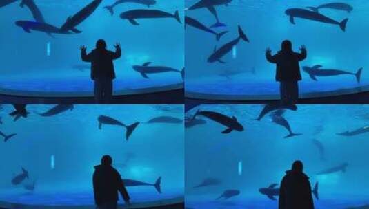 泉城欧乐堡极地海洋世界，美人鱼表演高清在线视频素材下载
