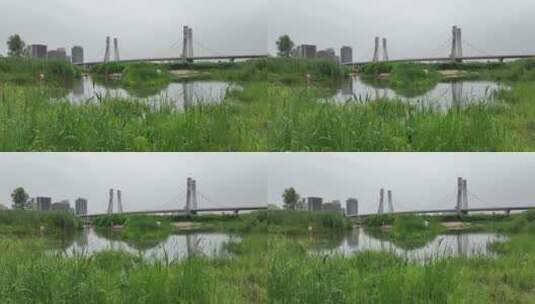 洛阳伊河伊滨区开拓桥自然绿色生态风光休闲高清在线视频素材下载