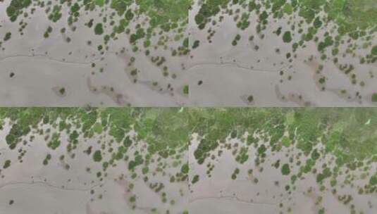 俯拍海岸线湿地高清在线视频素材下载
