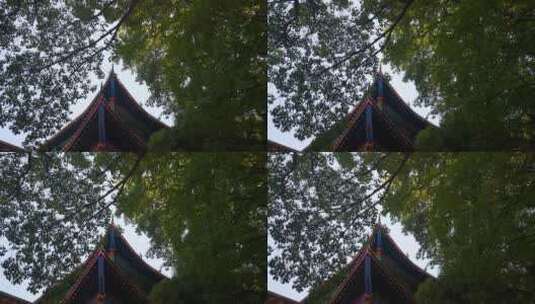 唯美镜头古色古香古建筑树枝树叶高清在线视频素材下载