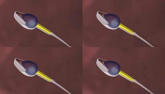 精子结构解剖受精过程三维动画高清在线视频素材下载