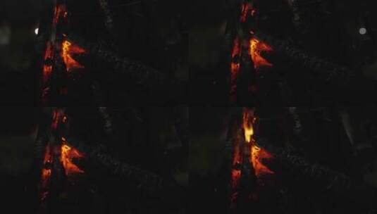 4K100p木柴上残存的篝火高清在线视频素材下载