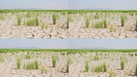 干涸的鄱阳湖河床蓝天下航拍高清在线视频素材下载