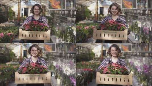 女人抱着一箱花卉在温室花房里行走高清在线视频素材下载