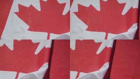 特写工作室拍摄的加拿大国旗高清在线视频素材下载