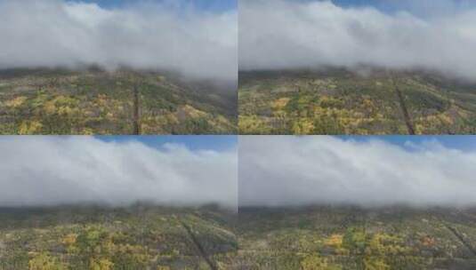 航拍秋季雨雾中的大兴安岭山林高清在线视频素材下载