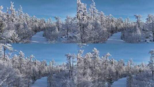 航拍林海雪原雪林小路高清在线视频素材下载