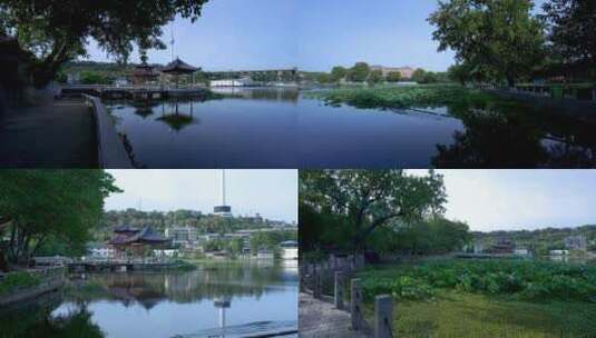 武汉汉阳莲花湖公园园林风光4K视频合集高清在线视频素材下载