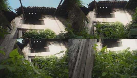 杂草丛生的老房子高清在线视频素材下载