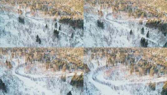 中国黑龙江大兴安岭雪原森林雪景航拍高清在线视频素材下载
